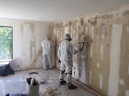 Trusted Goldsby, OK Mold Removal & Remediation Experts